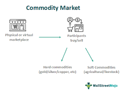 commodity trading software